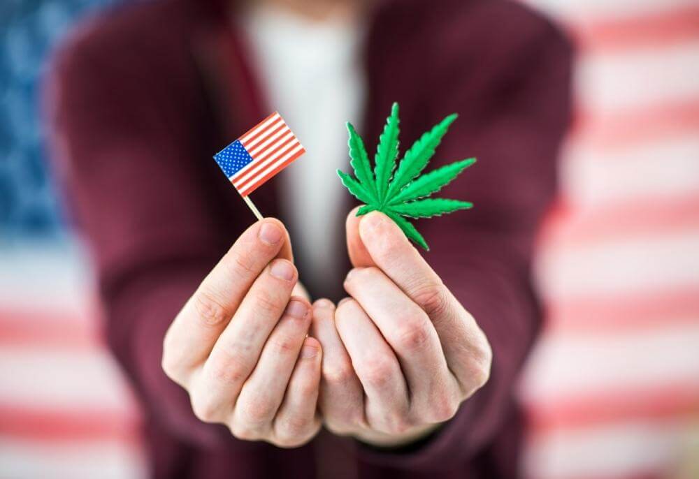 cannabis legalize