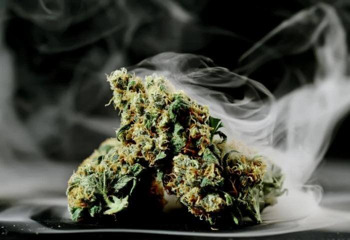 cannabis strains