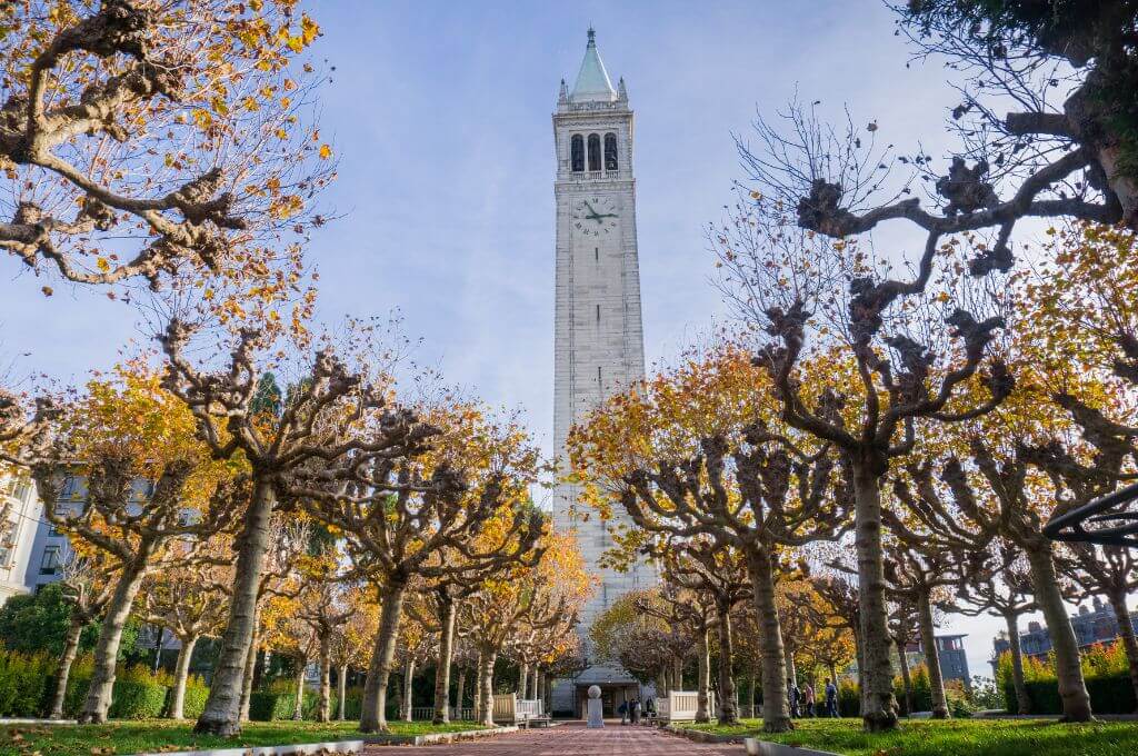 Berkeley cannabis delivery