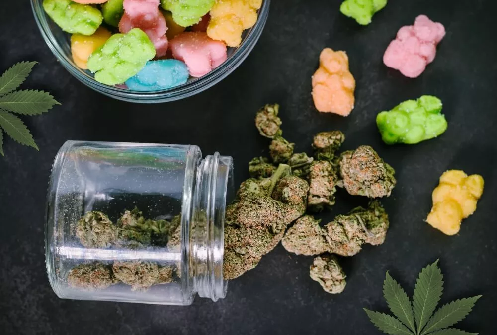 THC Gummies 101: Everything You Need to Know Before Taking the Plunge